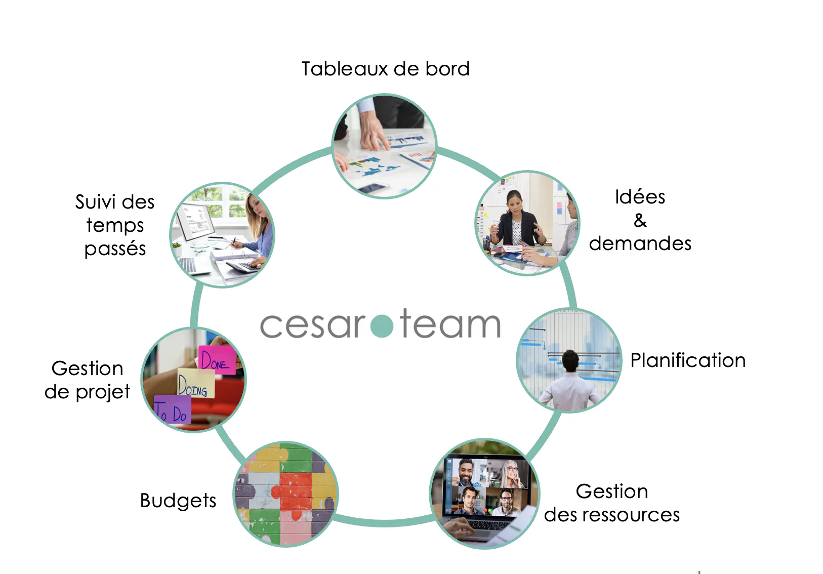 CESAR.TEAM Cost & Reviews - Capterra Australia 2026