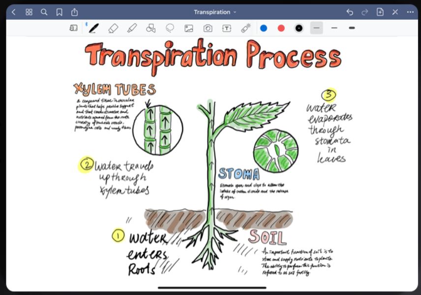 GoodNotes notepad view