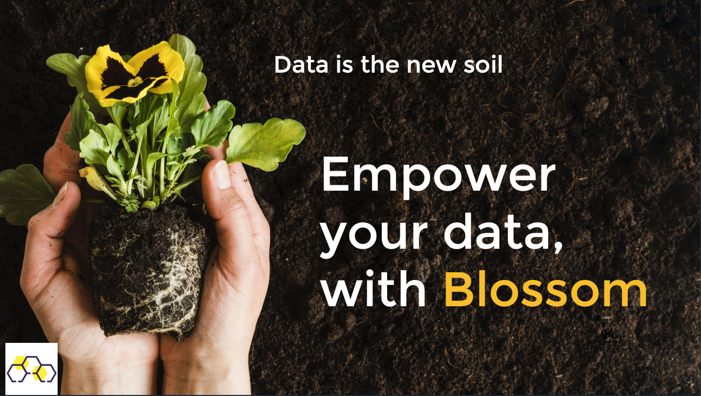 Blossom Federated AI Platform Software - 1