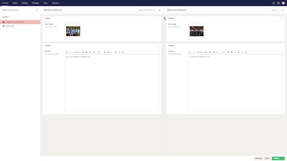 Umbraco CMS Software - 2