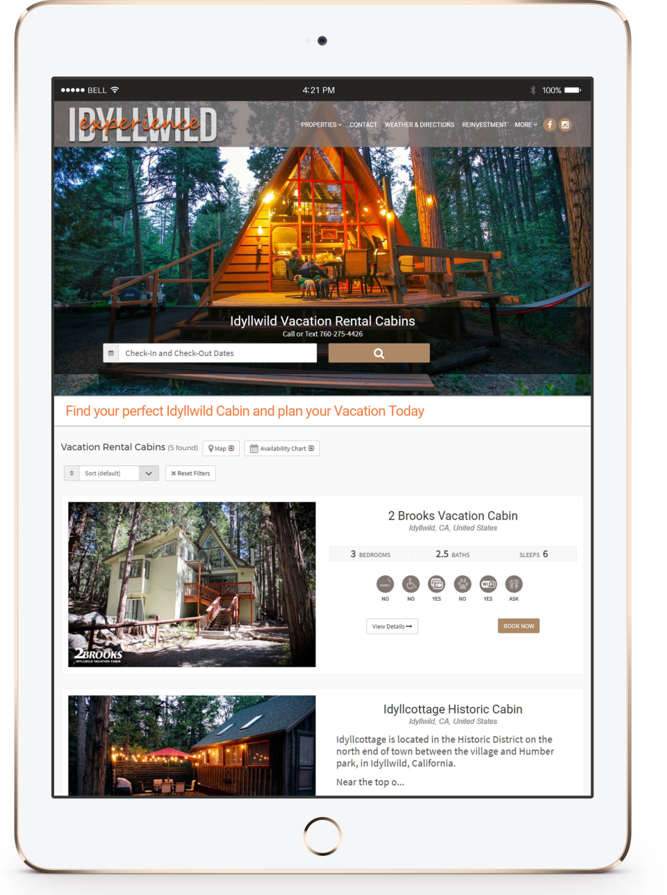 Cabin in the Mountains-thumb