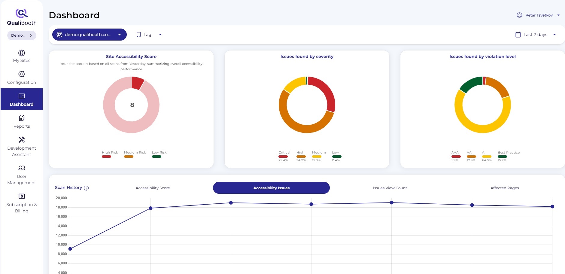 QualiBooth screenshot: QualiBooth's dashboards provide real-time accessibility data, including issue severity and violation levels, aiding compliance and strategic planning