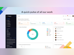 Zoho Projects Software - Portfolio Dashboard - thumbnail