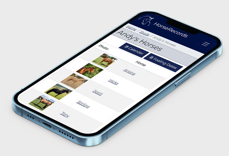 HorseRecords work on a desktop or mobile device.
