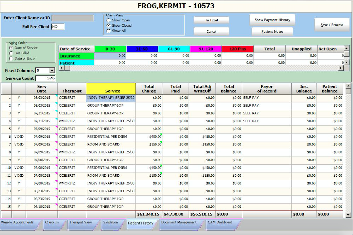 CAM Software - CAM by Celerity patient payment history