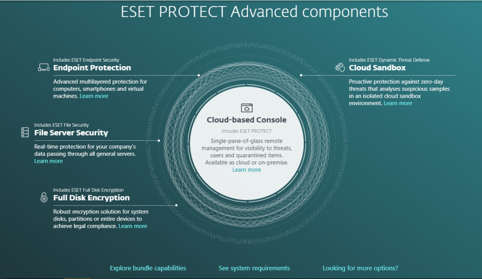 ESET Endpoint Security Software - 5