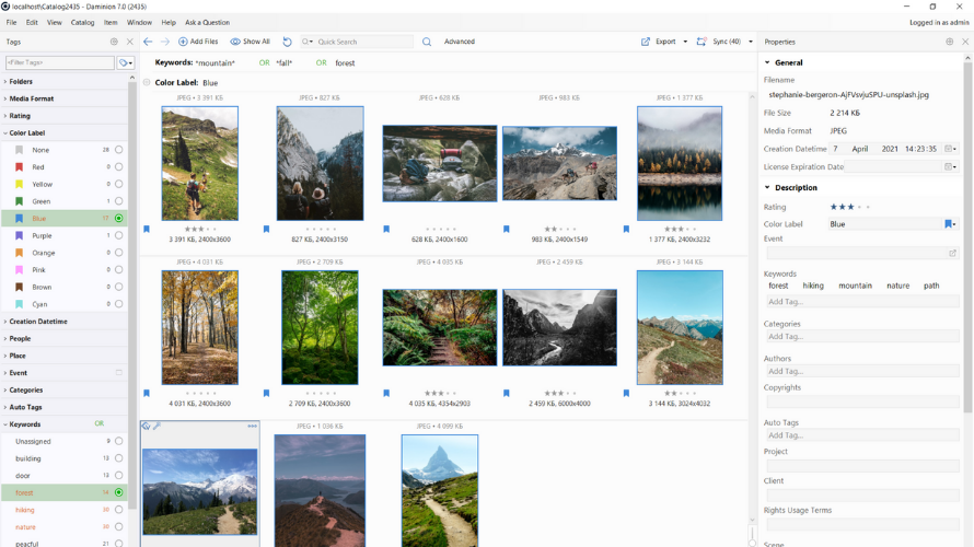 Daminion screenshot: Daminion desktop client, markers