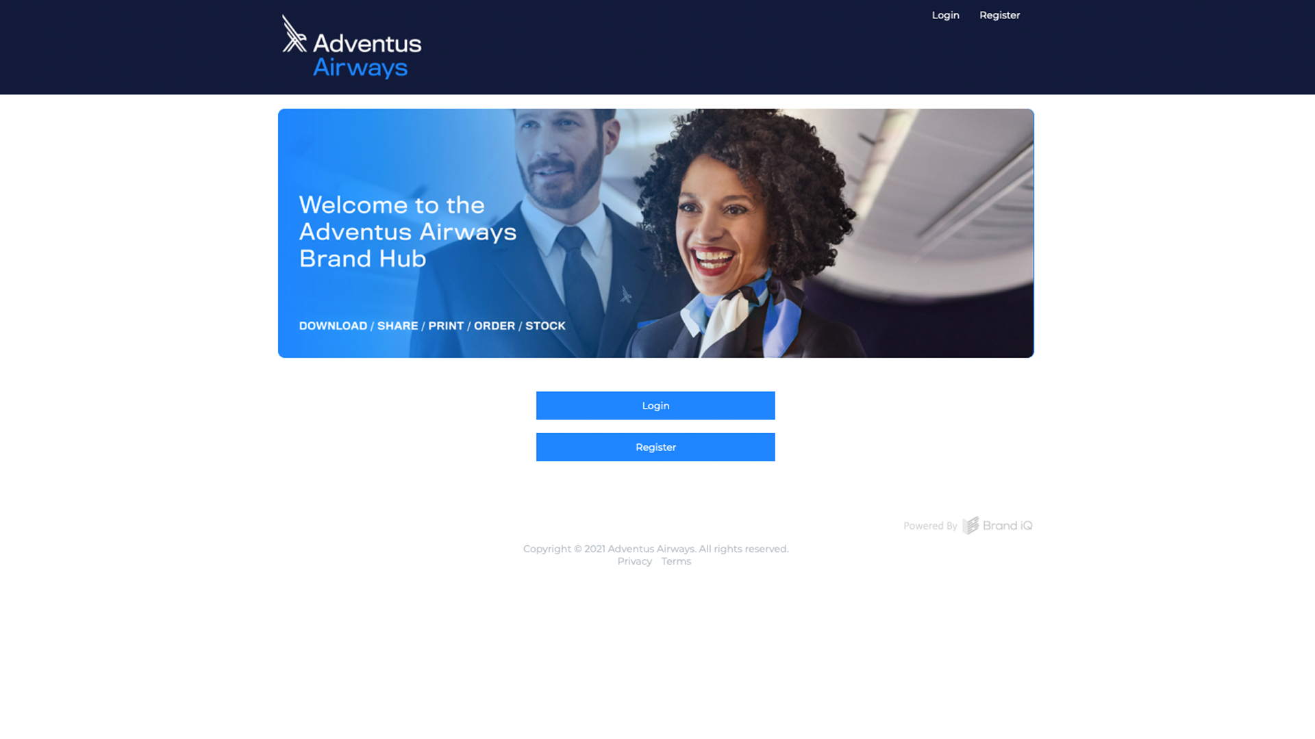 Brand iQ screenshot: Login page