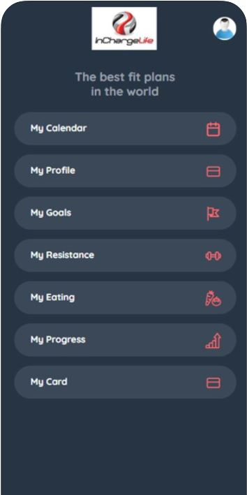 InChargeLife screenshot: InChargeLife user interface