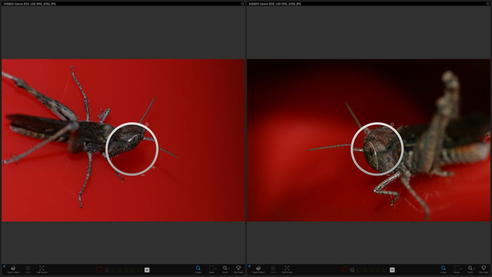 Photo Supreme Reviews, Pricing & Demos SoftwareAdvice IE