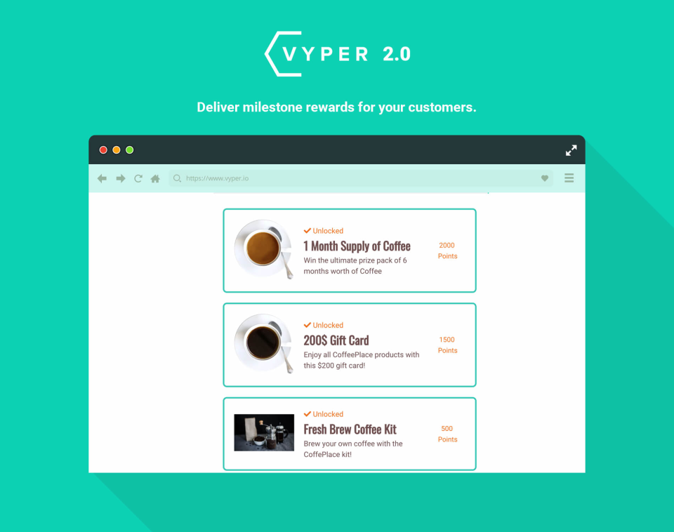 VYPER Software - 4