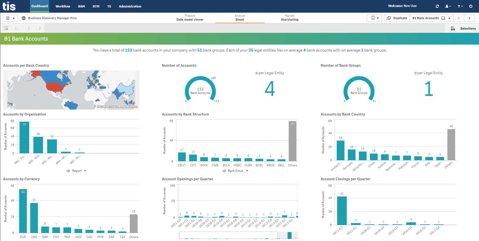 Treasury Intelligence Solutions screenshot: Bank Account Overview