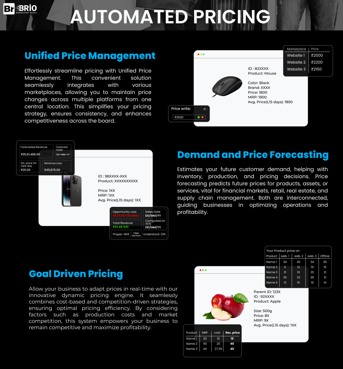 brioanalytics.ai -Automated Pricing
