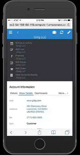 Infor CRM account information on mobile