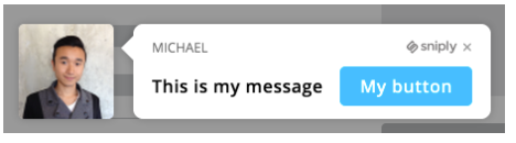 Preview snip, and customize the look and feel of the snip