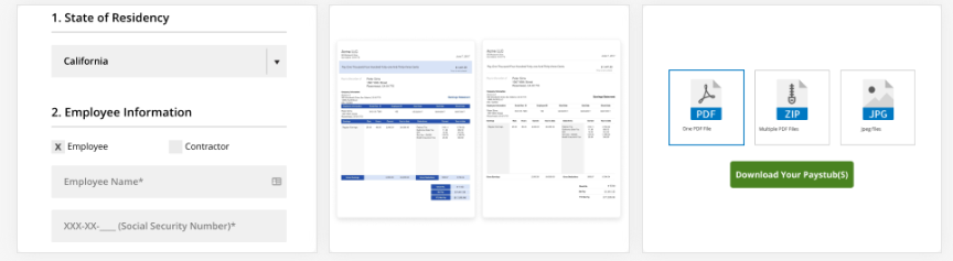 ThePayStubs screenshot: ThePayStubs stub making process