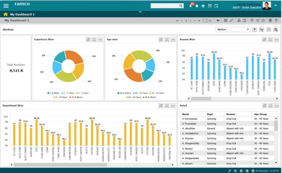 Ramco Professional Services Automation screenshot: Ramco dashboard