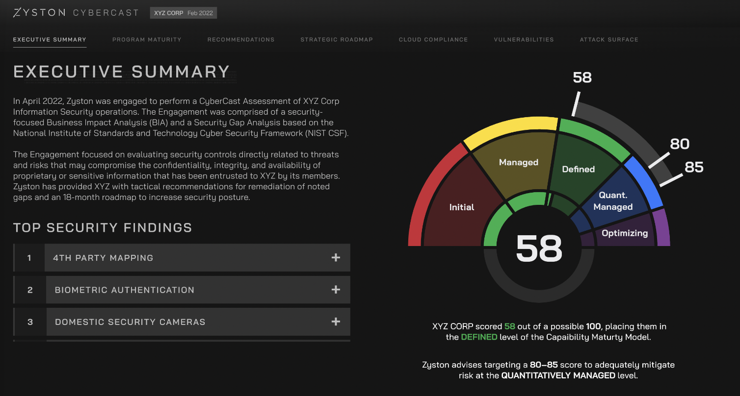 CyberCAST screenshot: CyberCast Executive Summary Case Assessment