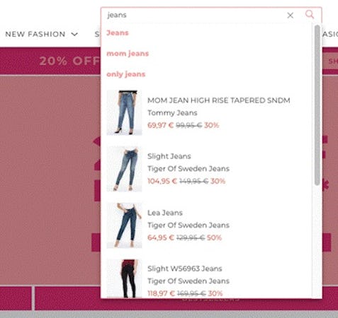 Omnichannel Personalization screenshot: Personalized search preview and auto-complete suggestions