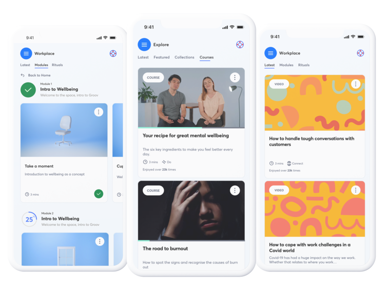 Groov Anywhere screenshot: Embed personalized application
