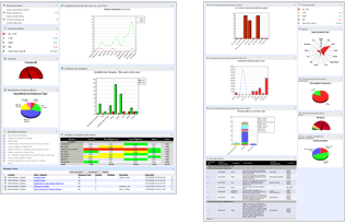 Intelex Incident Management Software Logiciel - 4