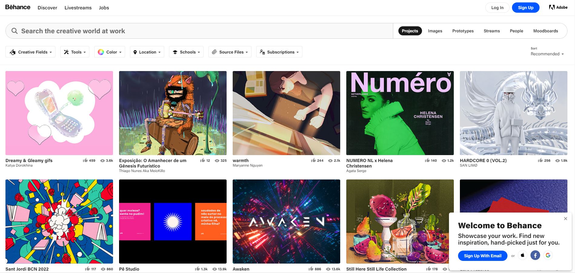Behance screenshot: Projects overview