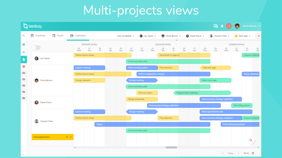 Beesbusy Software - Beesbusy manage multiple projects