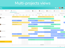 Beesbusy Software - Beesbusy manage multiple projects