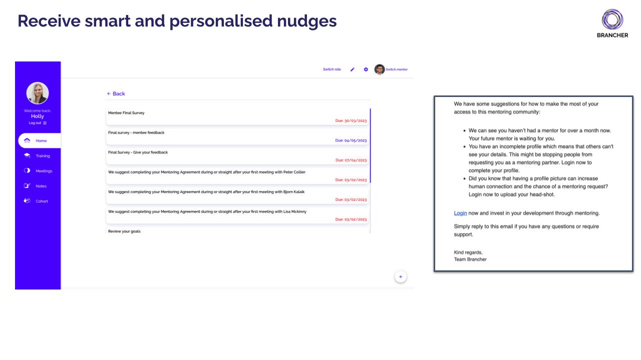 Brancher Software - 10