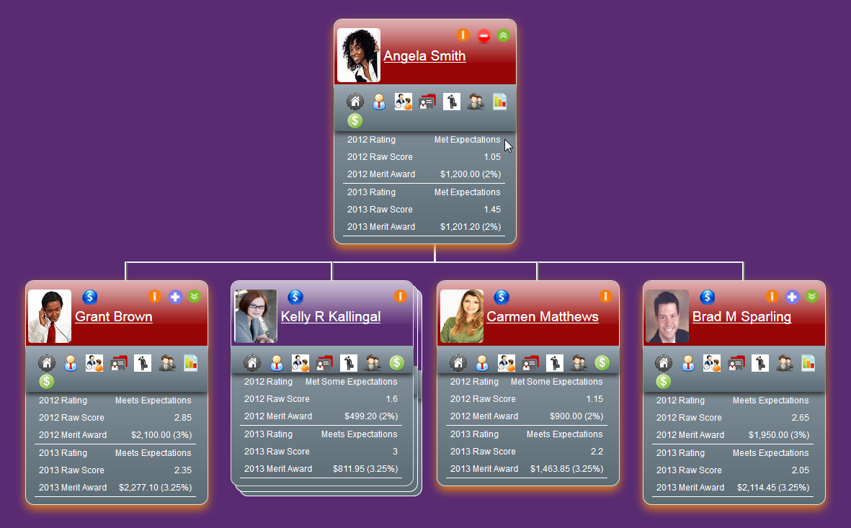Visual Organization Software - 1