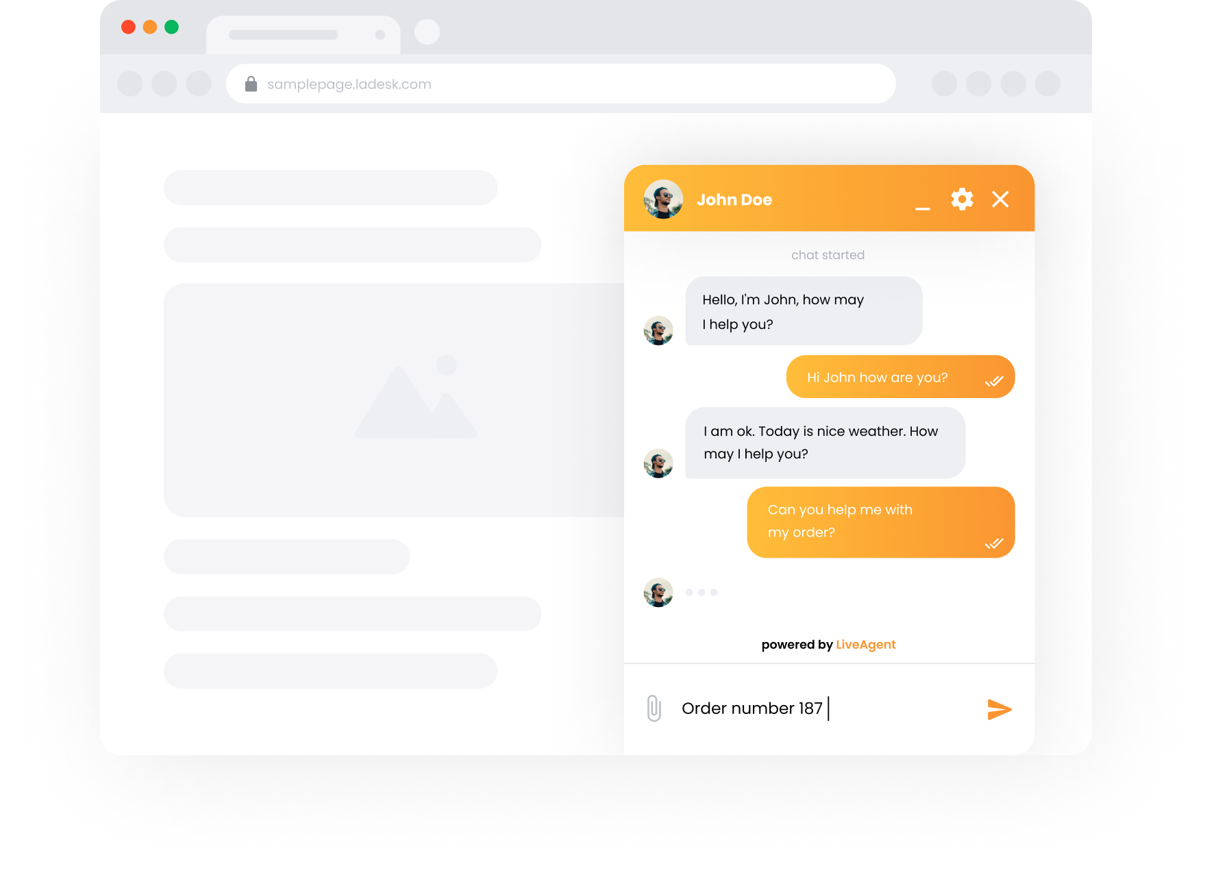 LiveAgent Software - Chat - Customer view