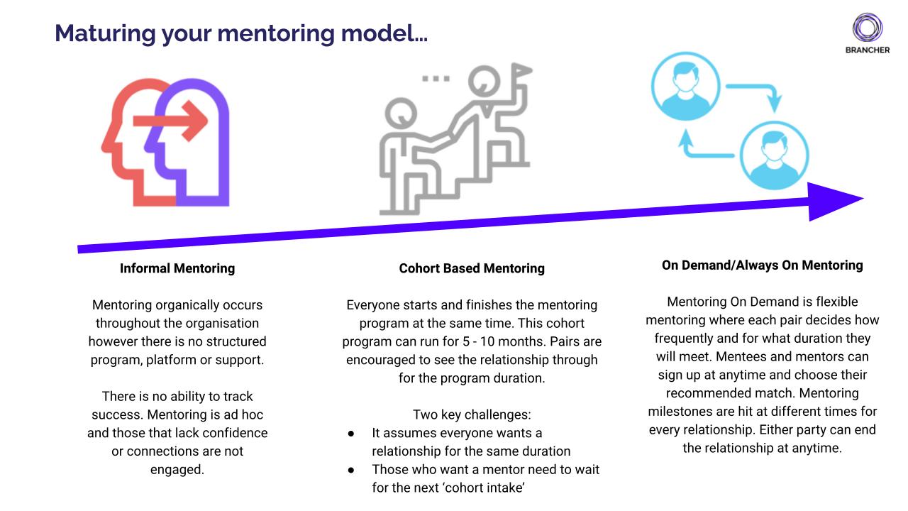 Brancher Software - 12