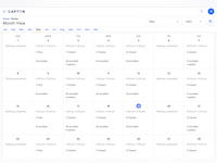 Captyn Software - Month calendar view