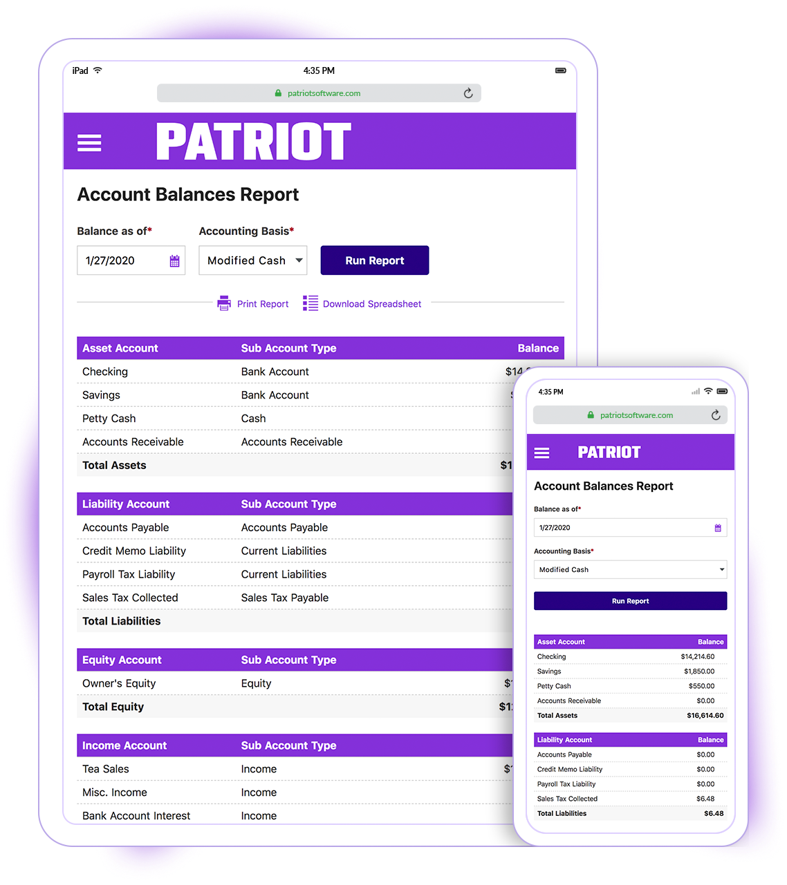 Patriot Accounting Software - Account Balances Report