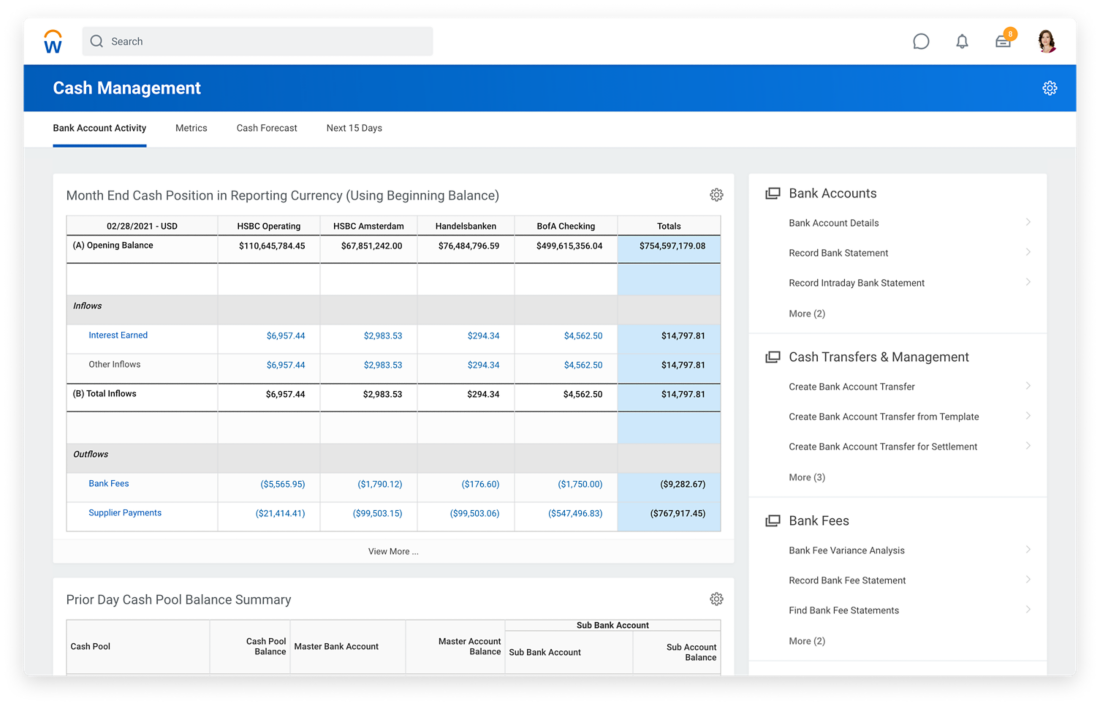 Workday Financial Management Software - 5