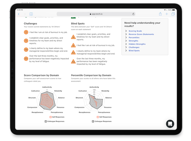 Torch Software - 3