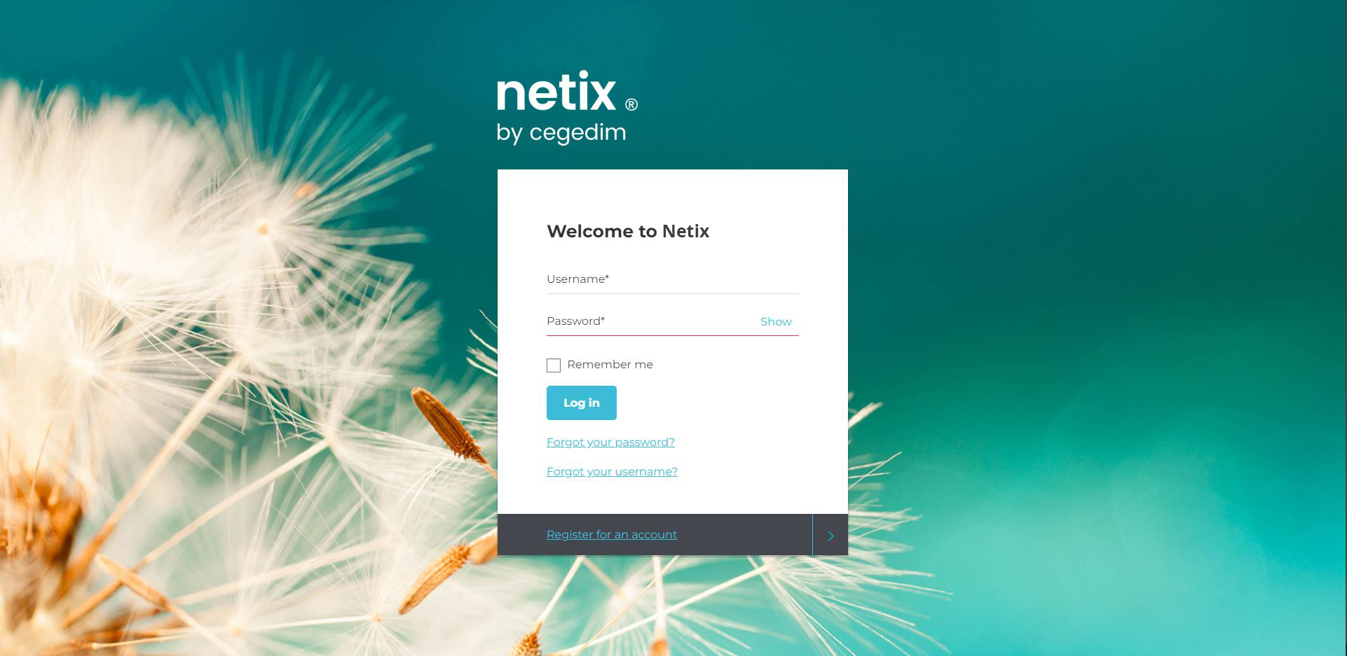 Netix Flow is a cloud solution with unlimited users, meaning your employees can access your business-critical data across your organisation, from any location and utilising all modern browsers.