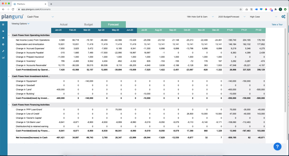 PlanGuru Software - Cash Flow Forecast