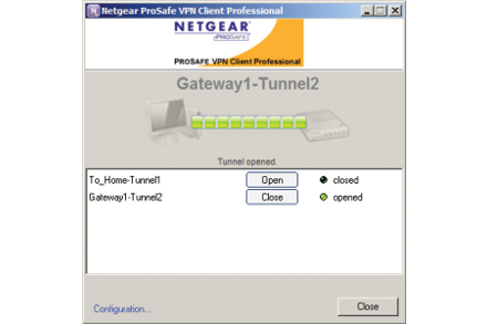 NETGEAR ProSAFE VPN Client Professional Software - 2