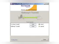 NETGEAR ProSAFE VPN Client Professional Software - 2