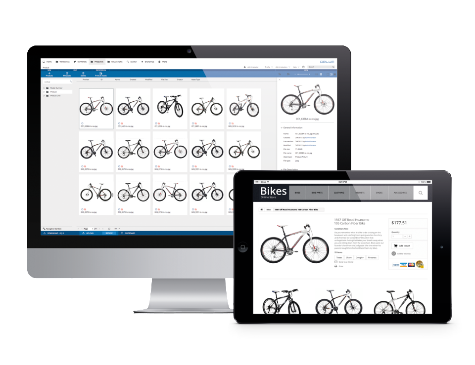 Celum Software - 2