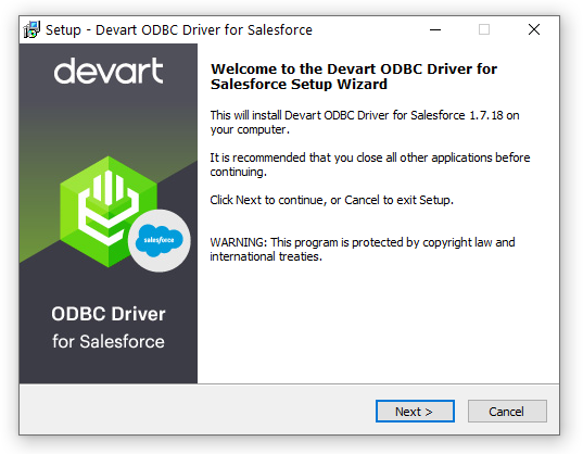 ODBC Driver for Salesforce screenshot: ODBC Driver for Salesforce setup