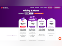 Analisa.io Software - 4 - Vorschau