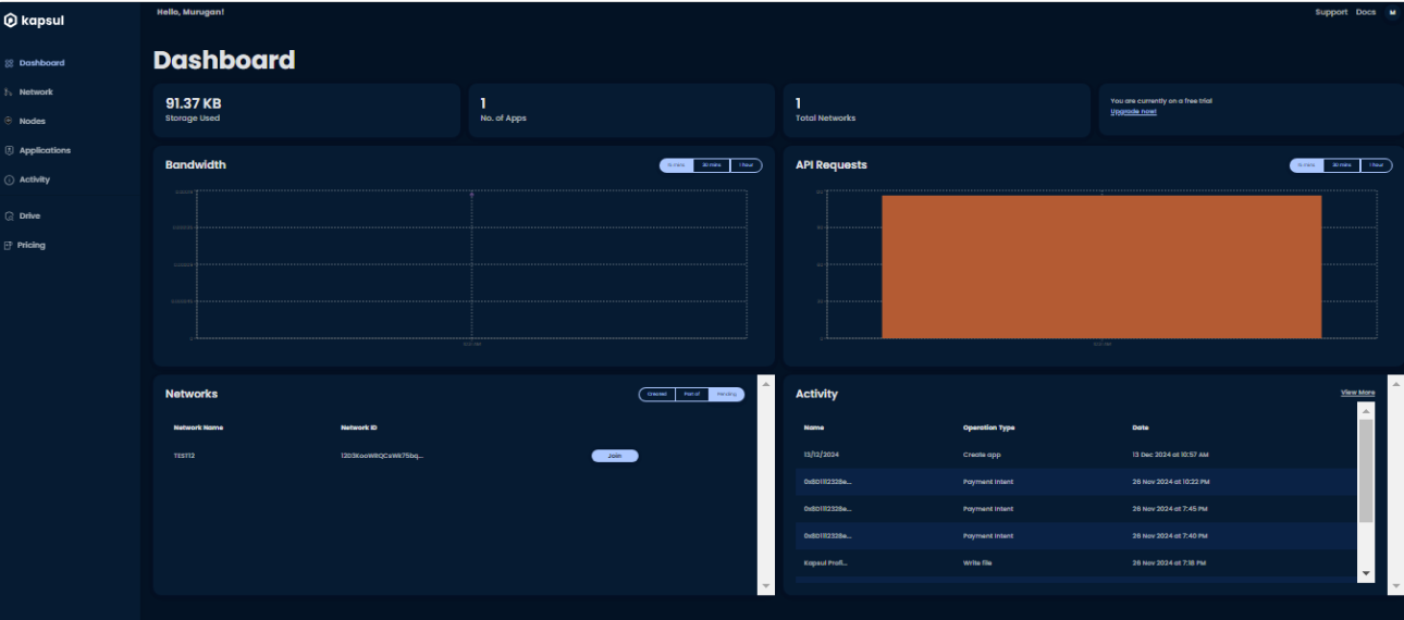 Kapsul Software - Kapsul dashboard view