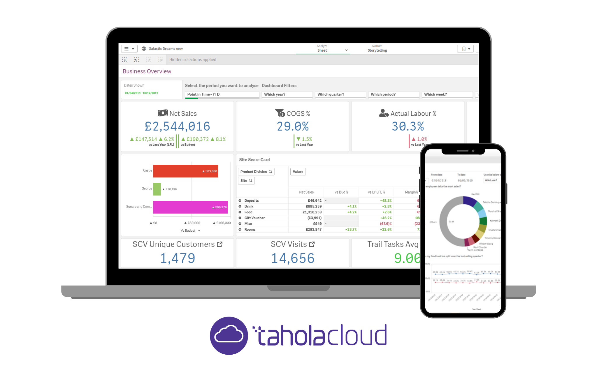 TaholaCloud advanced business analytics