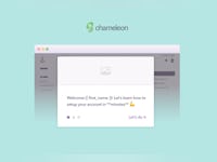 Chameleon Software - 1