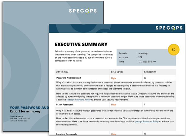 Specops Password Auditor Software - Exportable Executive Summary for sharing with technical or non-technical decision makers.