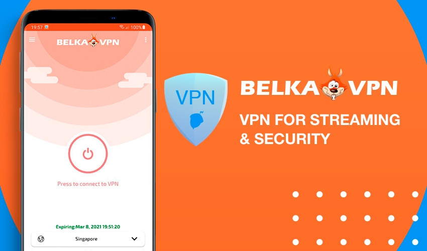 BelkaVPN connect to VPN