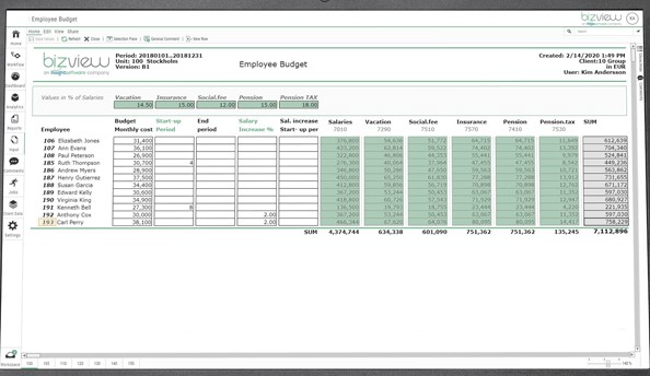 Bizview employee budget