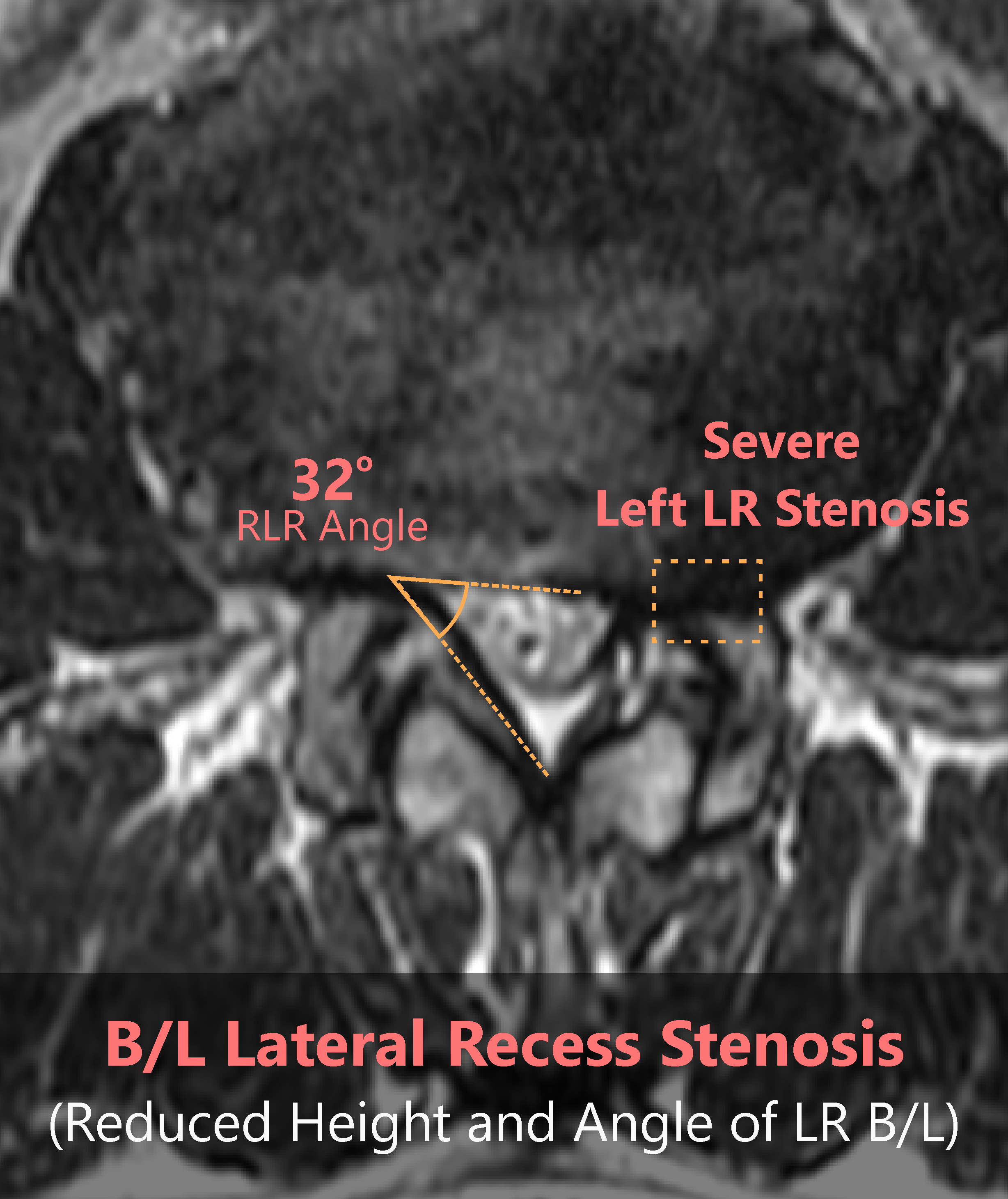 Spindle Reviews, Cost & Features GetApp Australia 2024